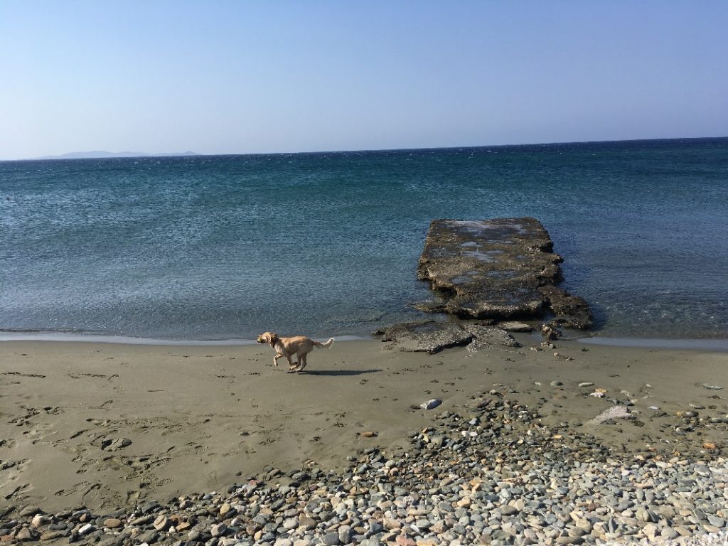 Andros 2019001054 My secret places blog