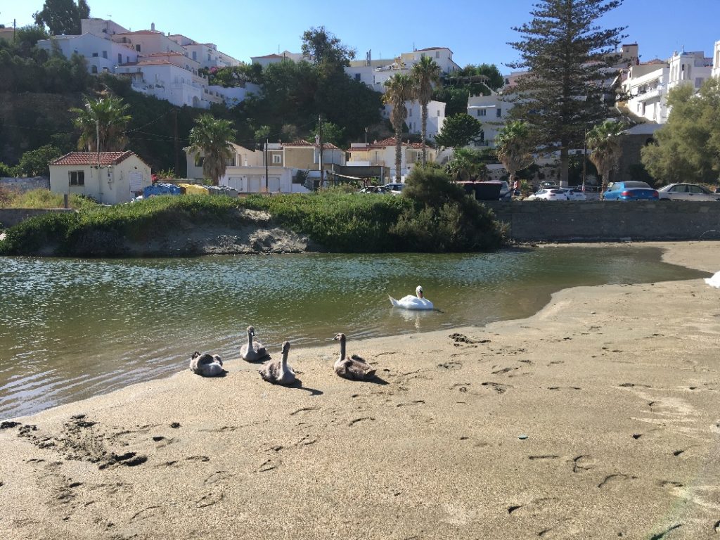 andros 2019000662 My secret places blog
